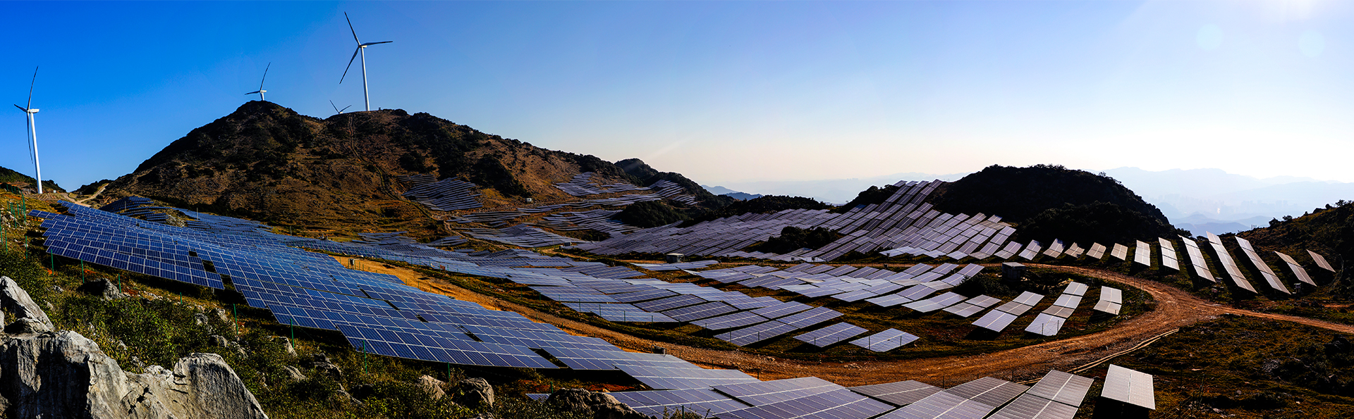 行業(yè)動(dòng)態(tài)